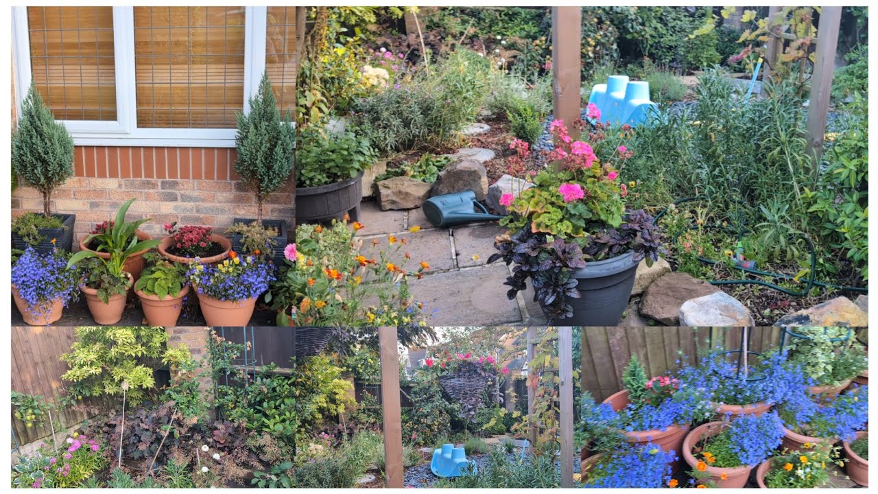 August garden tour/How my home garden in UK is doing in August towards end of summer