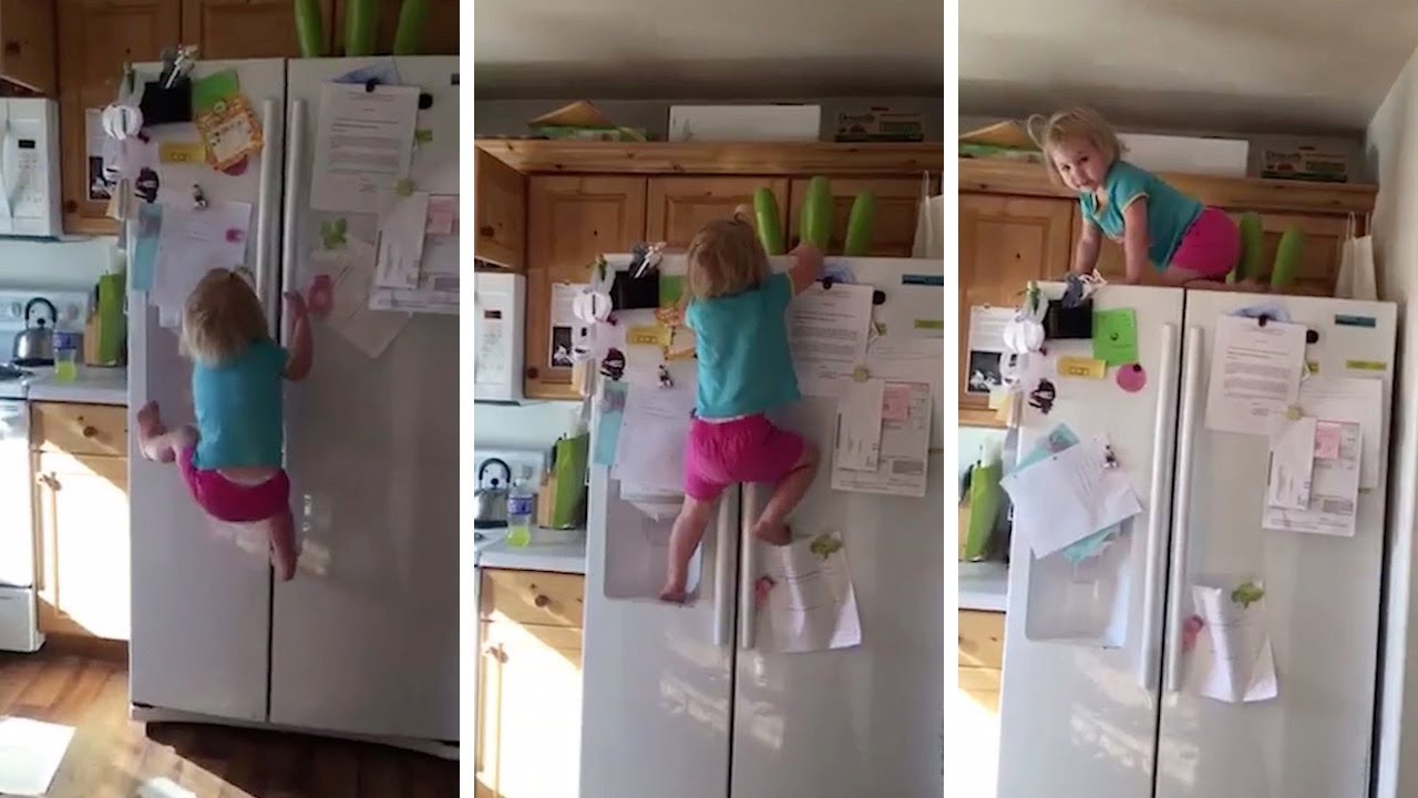 Impressive Toddler Climbs Fridge
