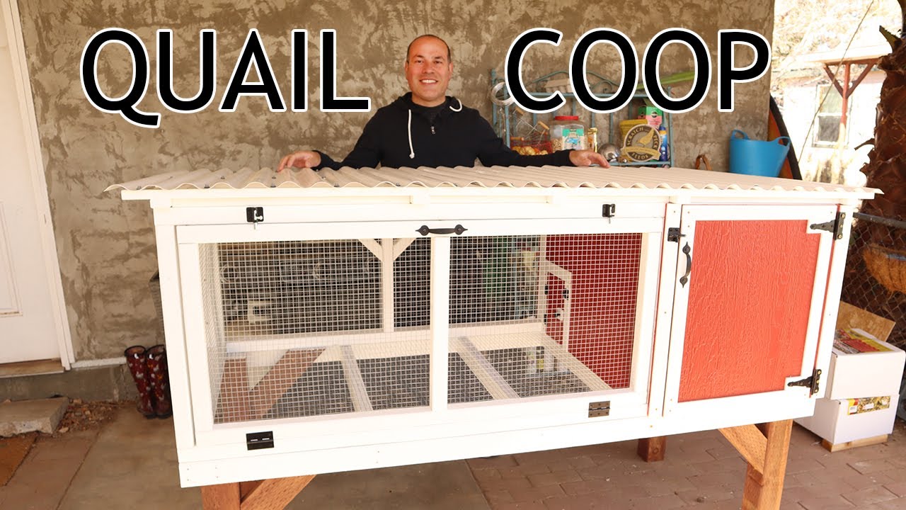 DIY Quail Coop Tour