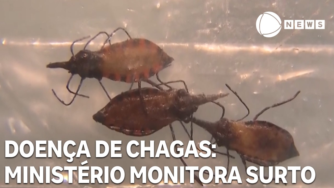 Ministério da Saúde monitora surto de doença de chagas