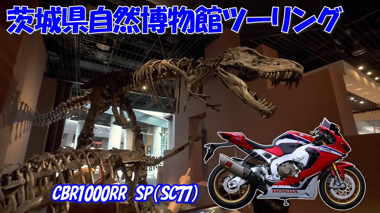 茨城県自然博物館ツーリング！！【CBR1000RR SP（SC77）】【Osmo Action 5 pro】