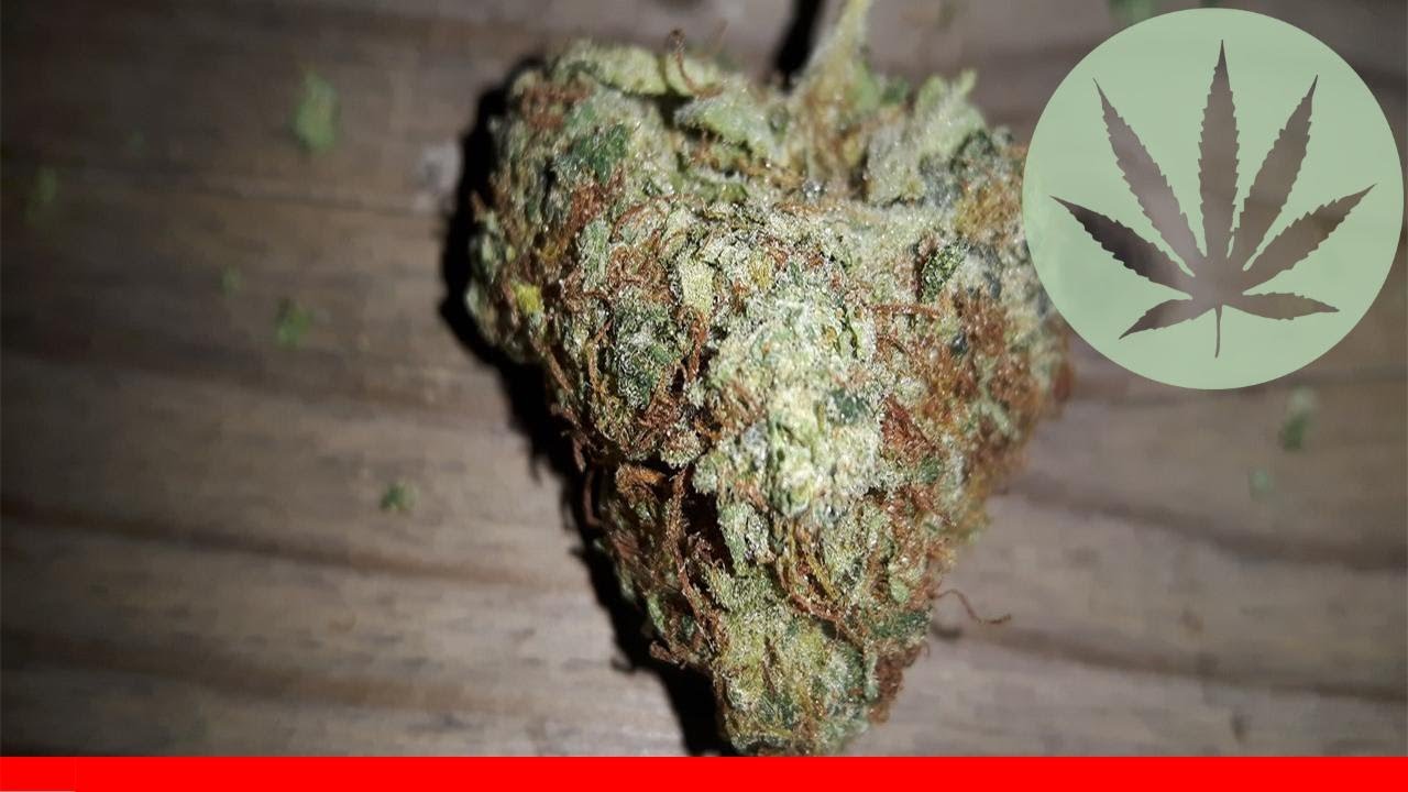 k2 cannabis - All About This Strain