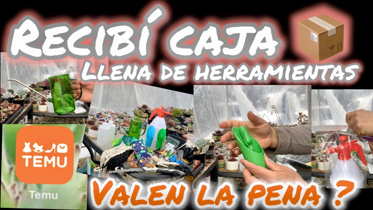 Herramientas TEMU🛠️ para el cultivo de #suculentas  ¿Valen la pena?