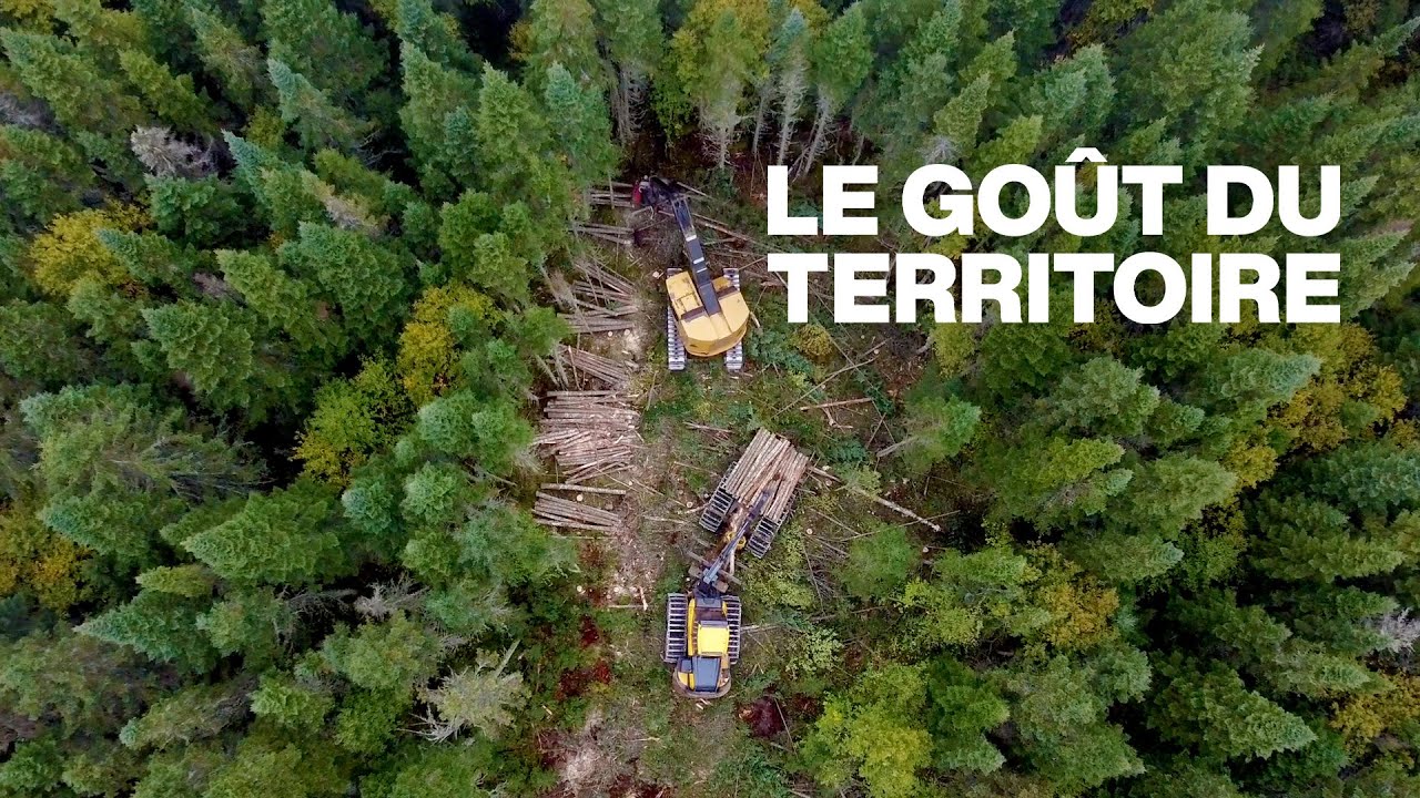 Nouvelles pratiques en foresterie | Le goût du territoire