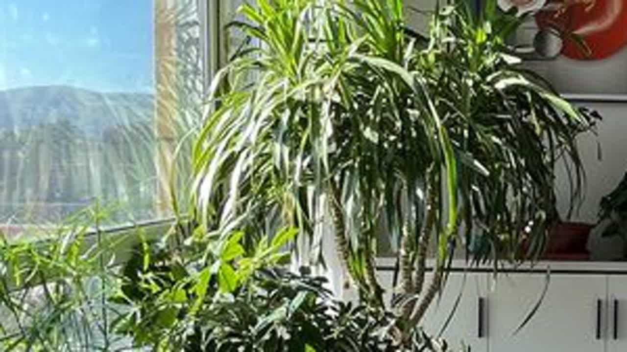 努力半辈子，爸妈终于在小县城买房了#县城生活 #小城市 #家 #买房