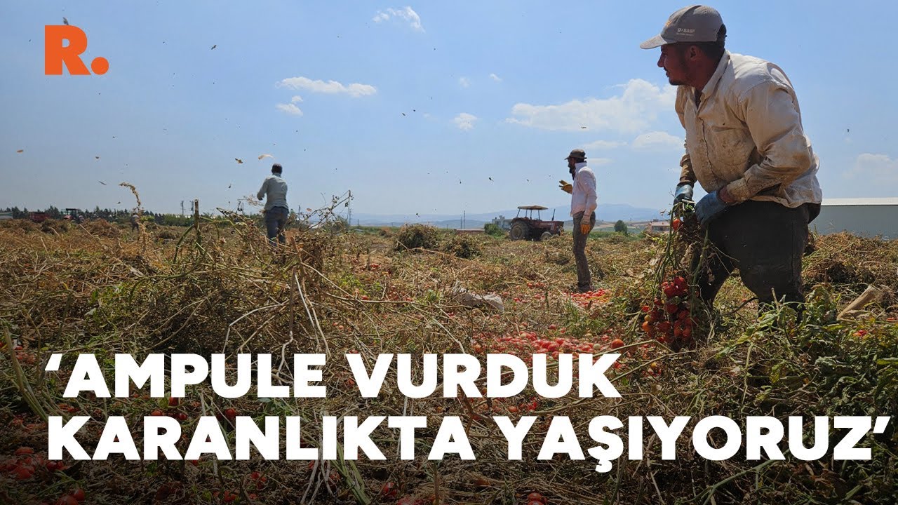 Urfalı mevsimlik tarım işçileri: 'Ampule vurduk ama karanlıkta yaşıyoruz'