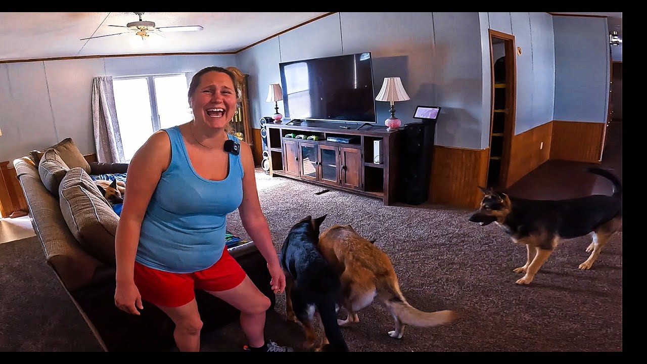 We Moved In To Our Dream Home FUUL FARM UPDATE