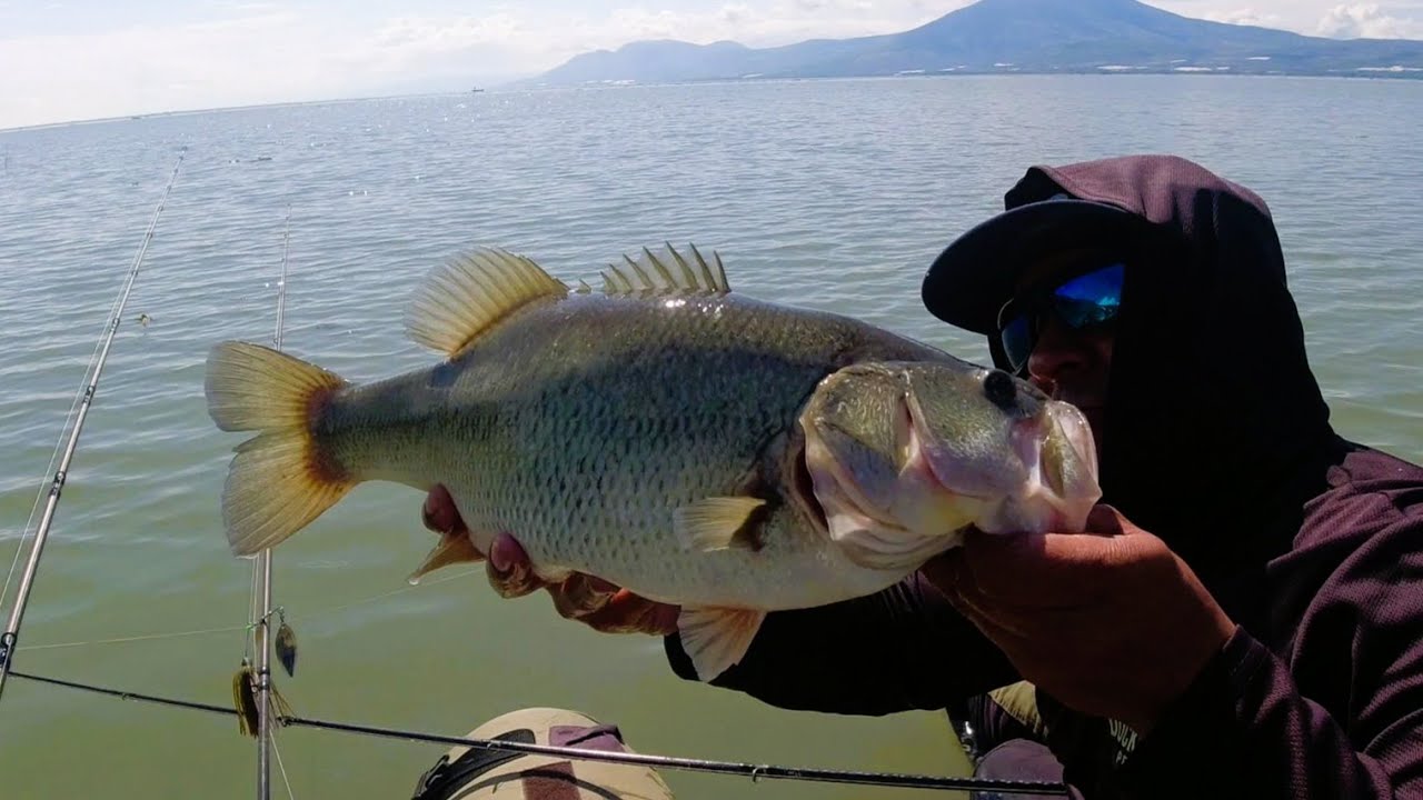 ¡EXPLOTÓ el LAGO de CHAPALA! 🤯 PESCA ÉPICA de LOBINA (¡La Captura fue INCREÍBLE!)