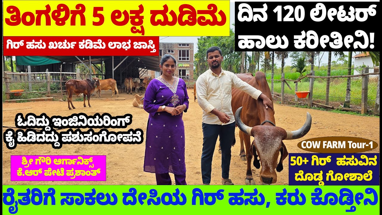 5 ಲಕ್ಷ ತಿಂಗಳಿಗೆ ದುಡಿಮೆ- ದಿನ 120 ಲೀ. ಹಾಲು -ಸಾಕಲು ದೇಸಿಯ ಗಿರ್ ಹಸು ಕರುಗಳು ಕೊಡ್ತೀನಿ- 9019996427 