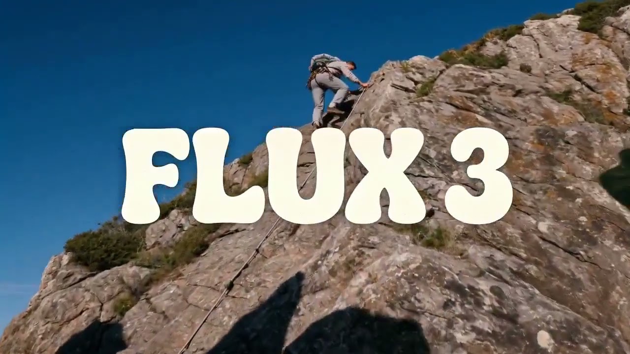 FLUX 3: AI Video Generation Up to 1080p [85/100]
