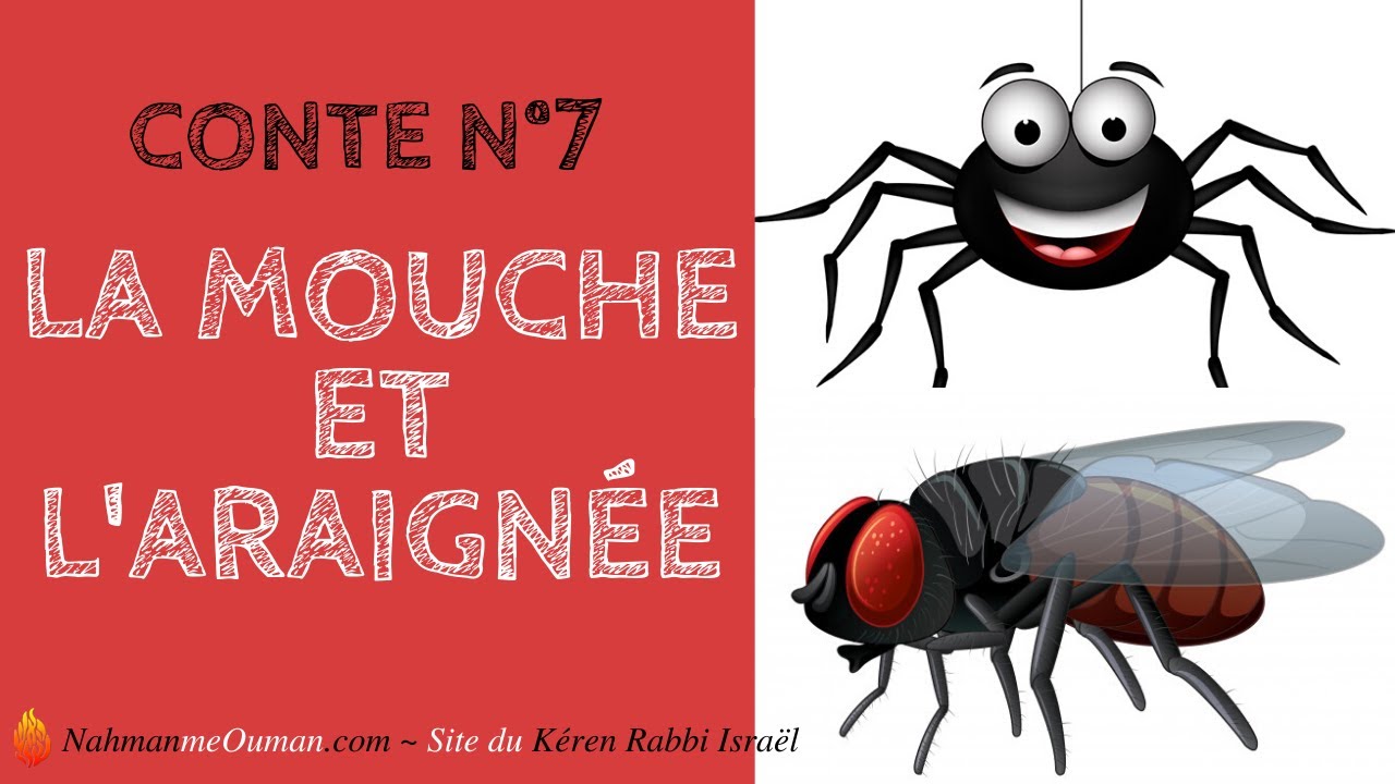 LES CONTES DE RABBI NAHMAN DE BRESLEV N°7 -COURS BRESLEV -