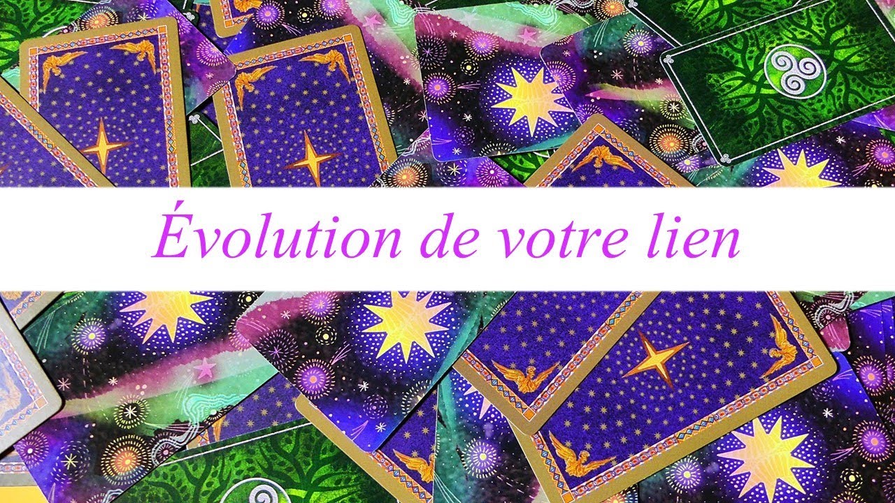 🪴Évolution de votre relation pour ces 3 prochains mois🪴- Guidance intemporelle à 3 choix 🛩️🛸🪂