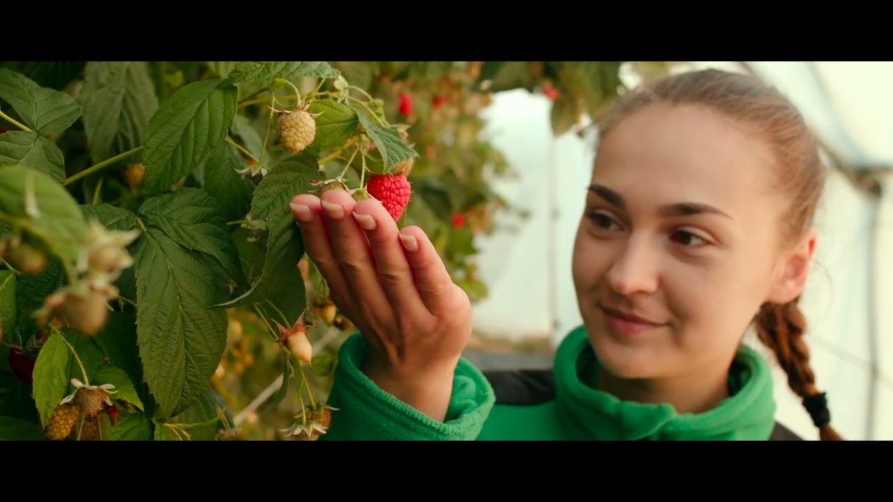Brandfilm.pl x Showreel 2024