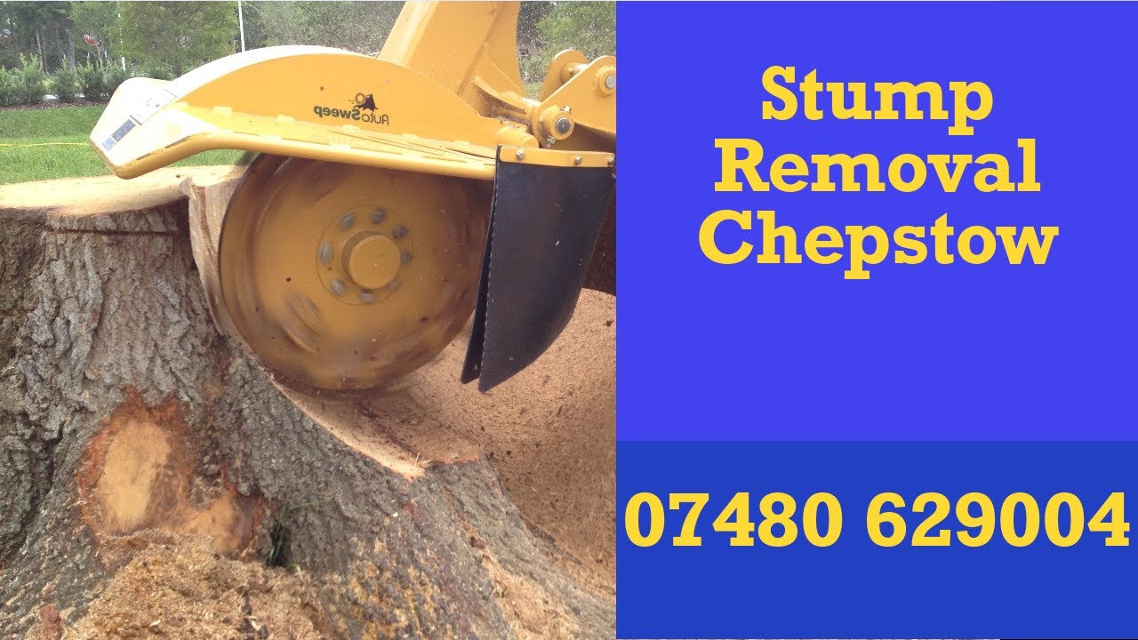 Stump Removal Chepstow Cost Effective Stump Grinding Services For Commercial And Residential