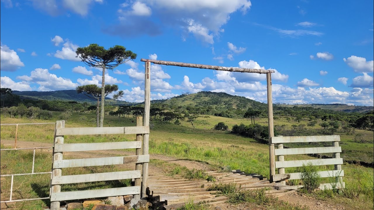 Lindo Sítio a venda no Painel/SC 🐂🐑🌳
