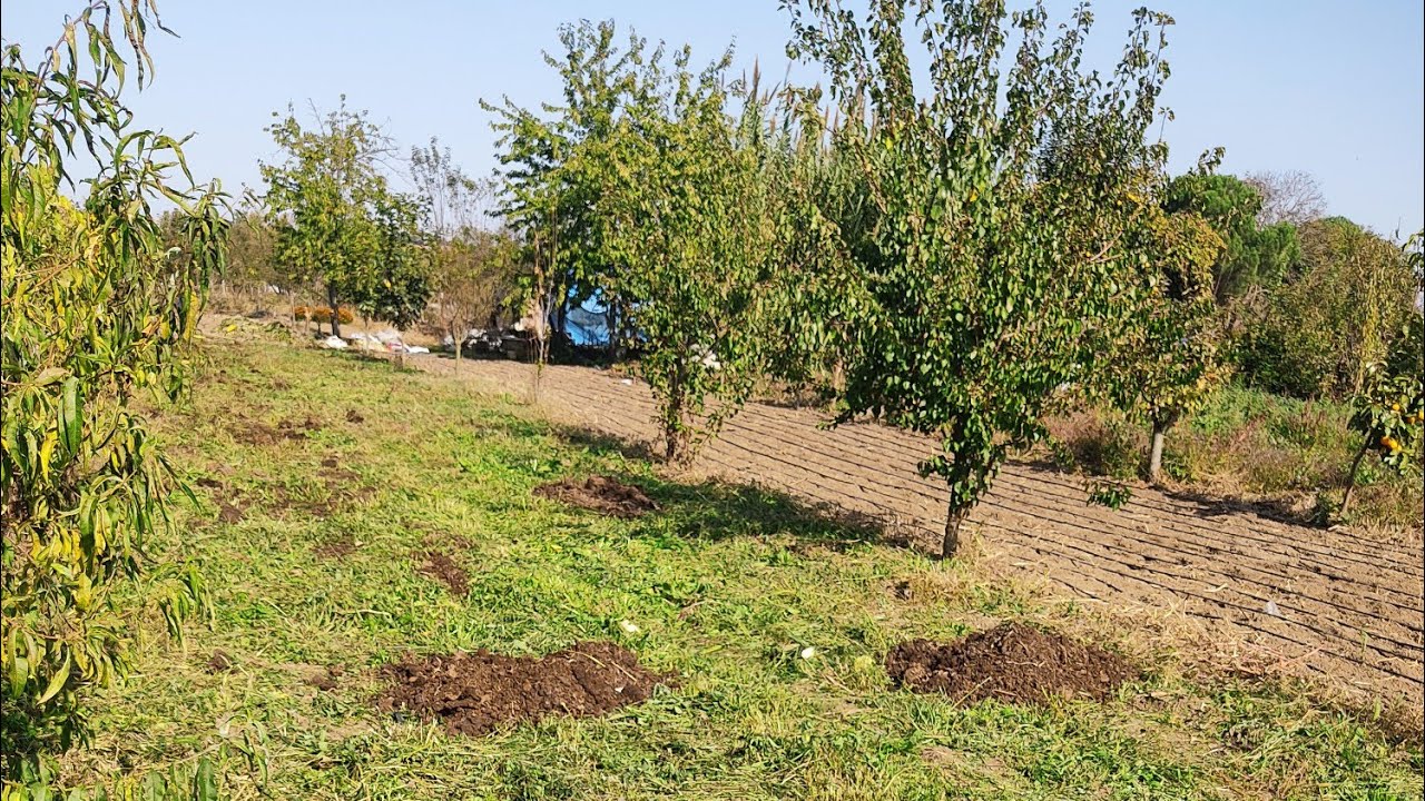Toprak Hazırlığı Nasıl Yapılmalıdır