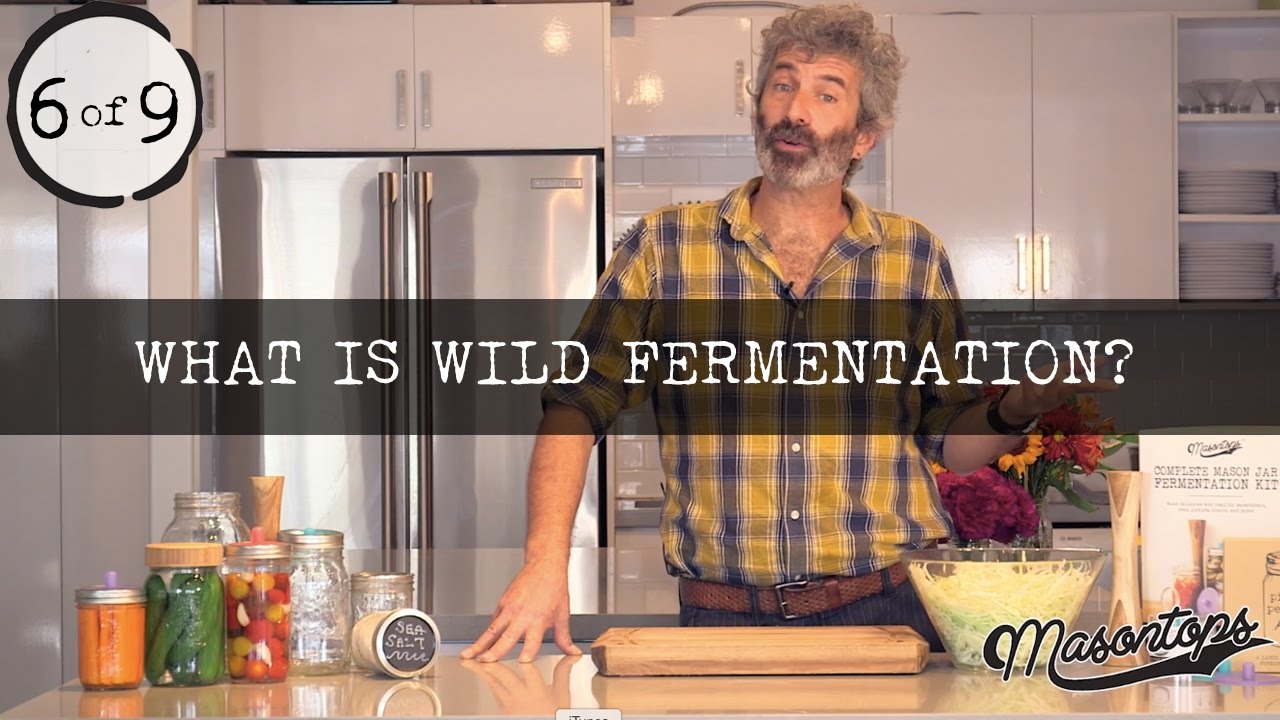 (6 of 9) Sandor Katz - Wild Fermentation of Vegetables