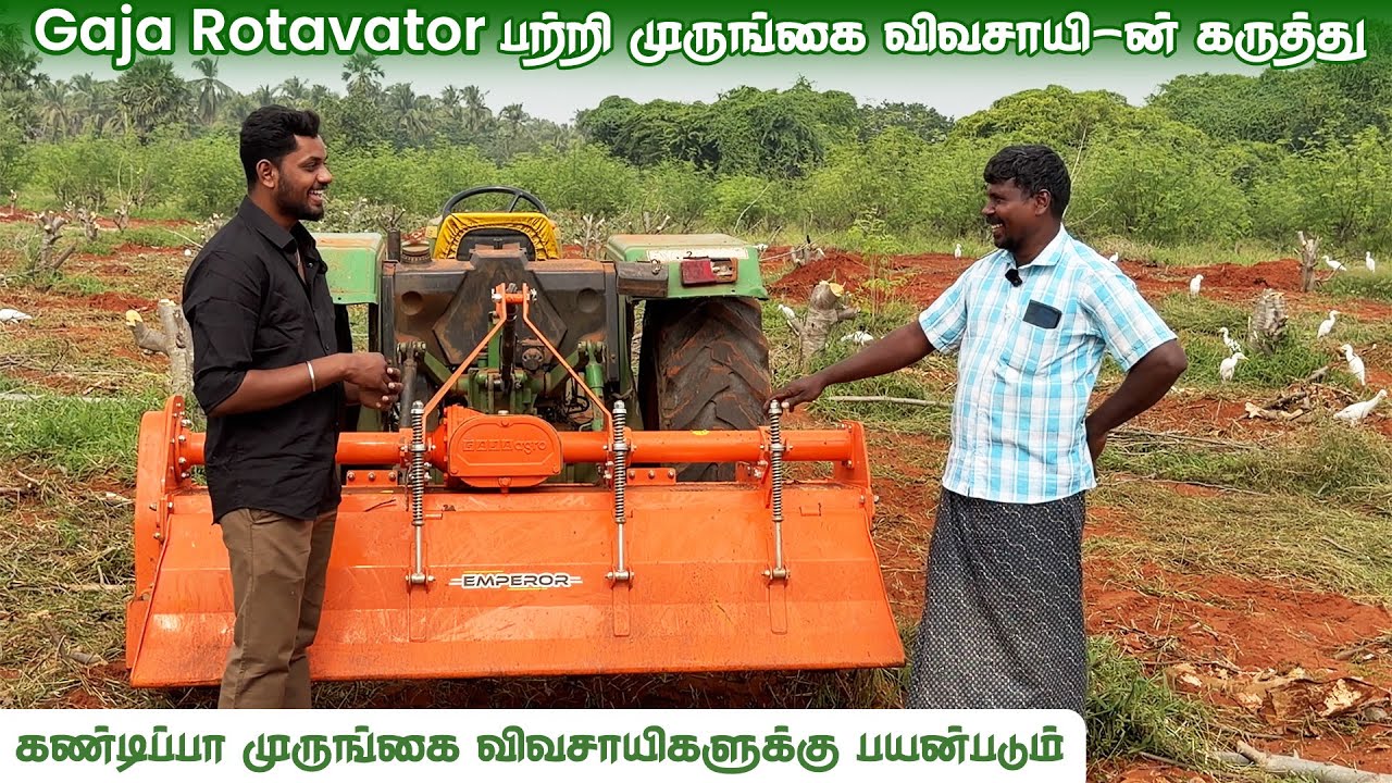 🚜முருங்கை விவசாயம் லாபமா இருக்கணும்னாEMPEROR Model இருந்தால்தான் சரி!🌳