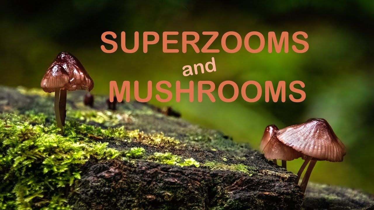 Superzooms and Mushrooms