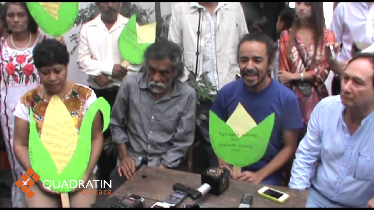 Protestan Toledo y Rubén Albarrán contra maíz transgénico en Oaxaca