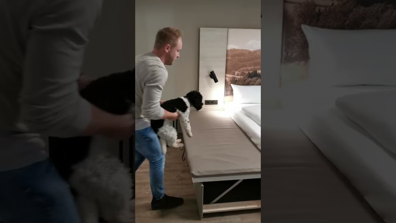 Seehotel Moldan - Rundgang in einem der neuen Zimmern mit ausklappbarem Hundebett - einfach WAU!