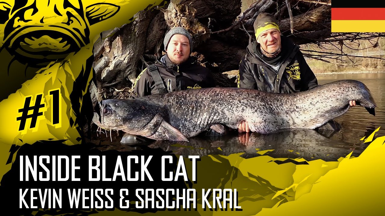 RHEINWALLER mit KEVIN WEI&szlig; & SASCHA KRAL - INSIDE BLACK CAT