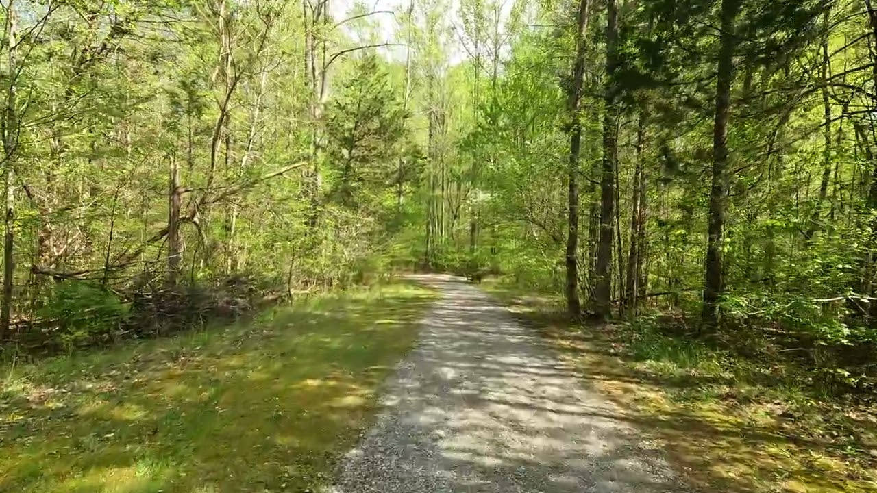 Crunching Along the Gravel Paths at Fighting Creek Park