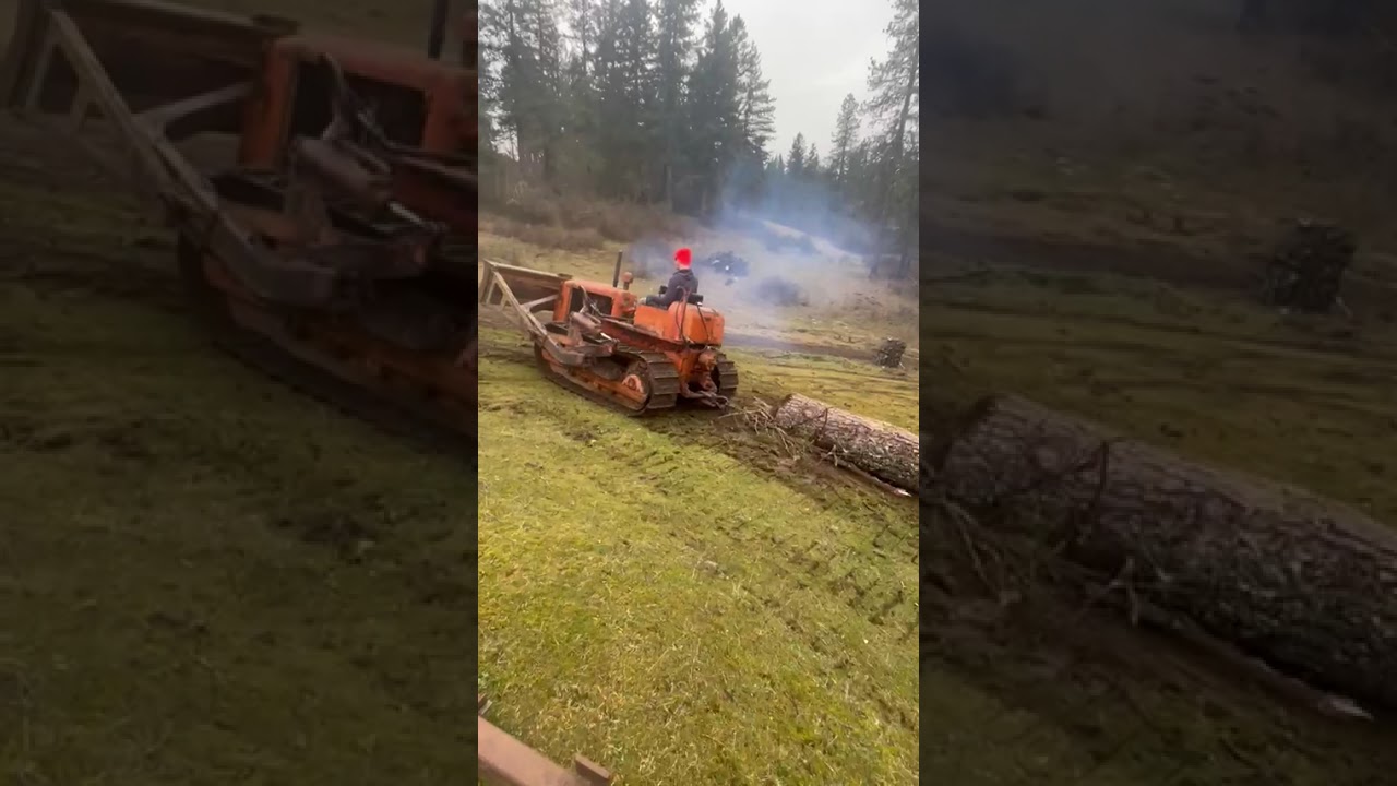 1-30-26 Brother skidding last  wind damaged tree 36