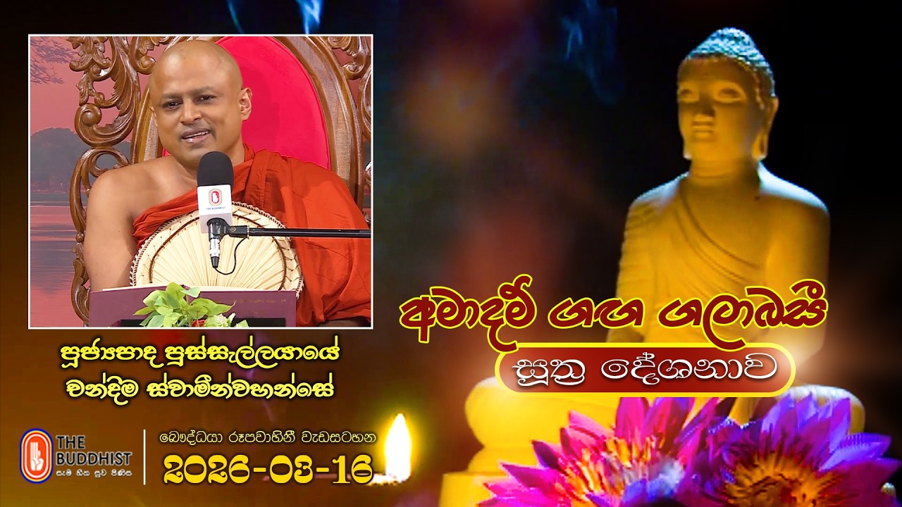 Ven Pussellayaye Chandima Thero | 2026-03-16 | 04:00PM (සූත්‍ර දේශනාව)