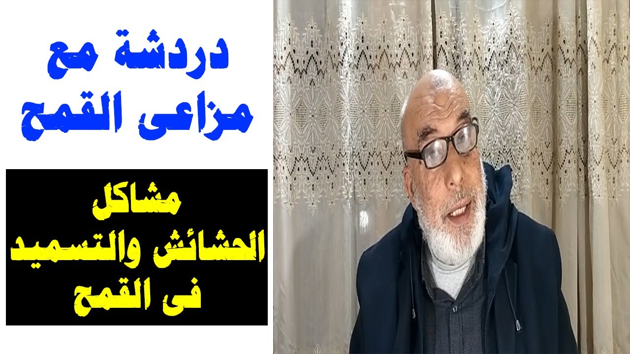 مشاكل الحشائش والتمسيد والمغذيات | دردشة مع مزارعين القمح