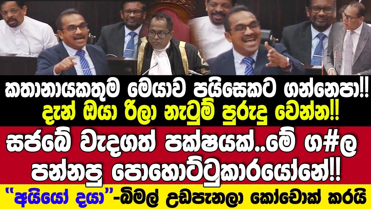 අයියූ දයා!මේ පන්නපු පෝට්ටුකායොනේ!සජබේ වැදගත් පක්ෂයක්..බිමල්  කෝචොක් කරයි
