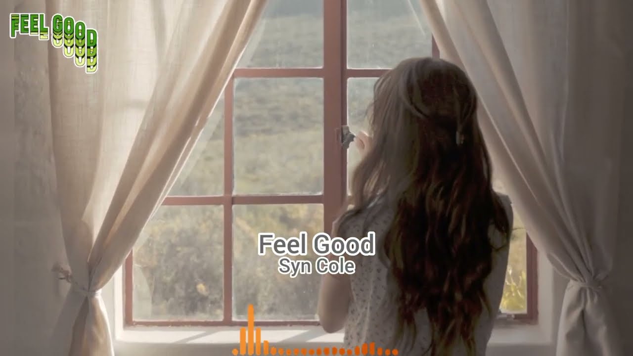 Syn cole - Feel Good (NCS)