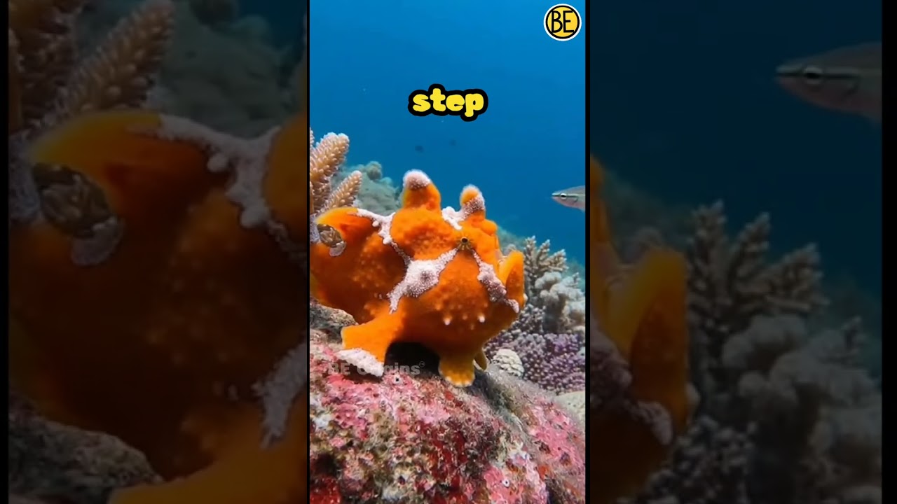 The Ocean&rsquo;s Vacuum Predator