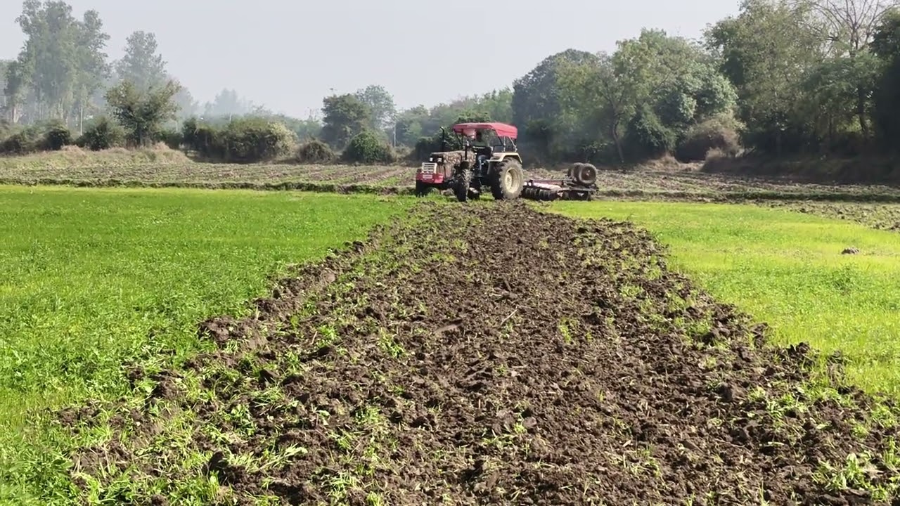 Swaraj 855 4WD N Model With 8×8 Disk Harrow #video #swaraj855 #viral #tranding #tractor #subscribe 