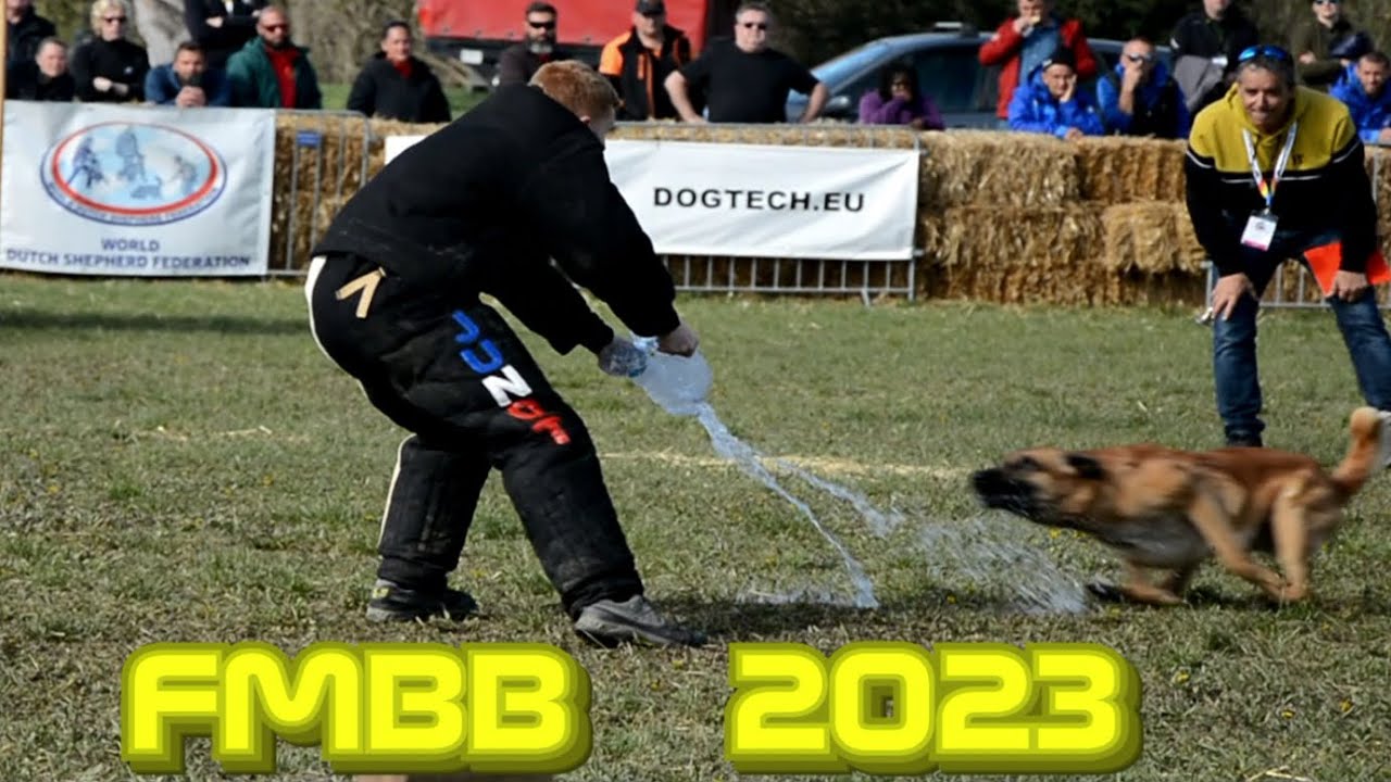 FMBB 2023 Mondioring - artifice cat. 3