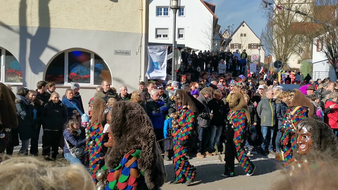 Ringtreffen/Umzug Weitingen Teil 2/26 09.02.2020