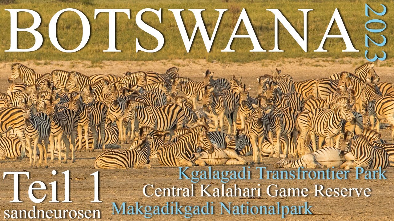 Botswana 🦓 2023, Teil 1, Kgalagadi Transfrontier Park (KTP), Centralkalahari (CKGR), Makgadikgadi NP