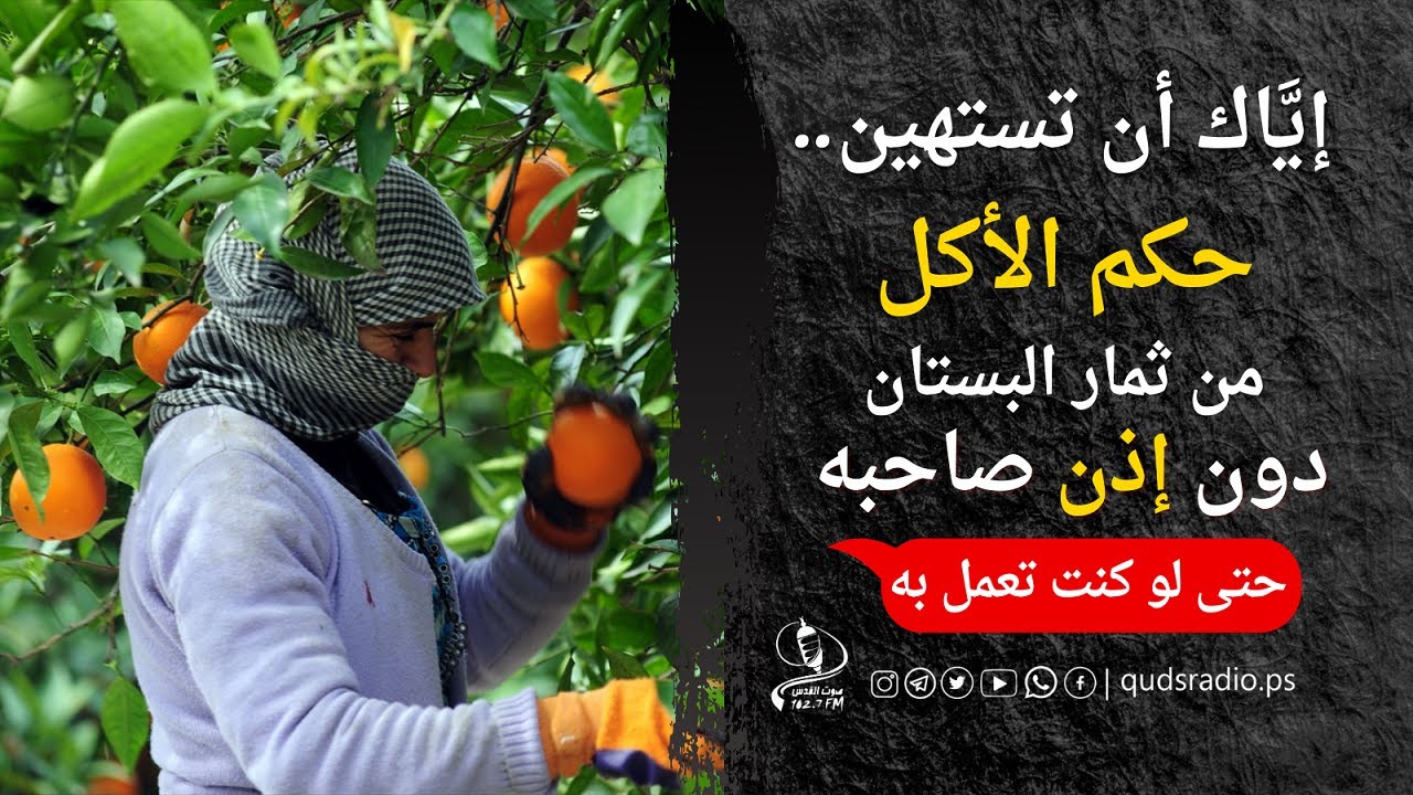لا تستهين ولو بثمرة واحدة قبل أن تعرف حكم الاكل من ثمار البستان دون إذن صاحبه