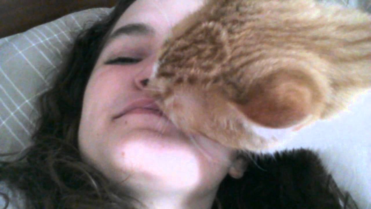 Friend's cat licks my face (mute)