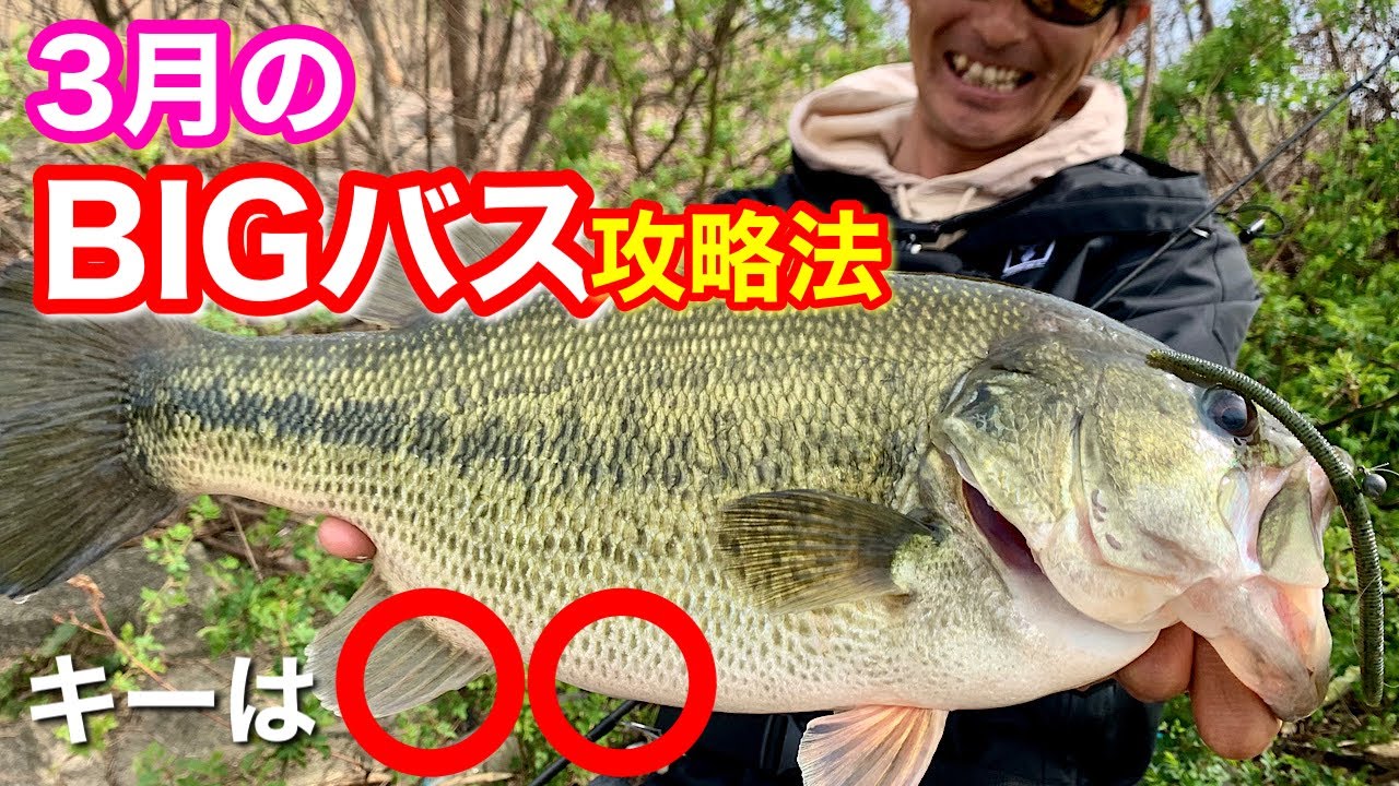 【早春のバス釣り解説】確実にバスは動く!! ３月はどんなことを意識して釣って行くか？【水の旅＃ １２５】