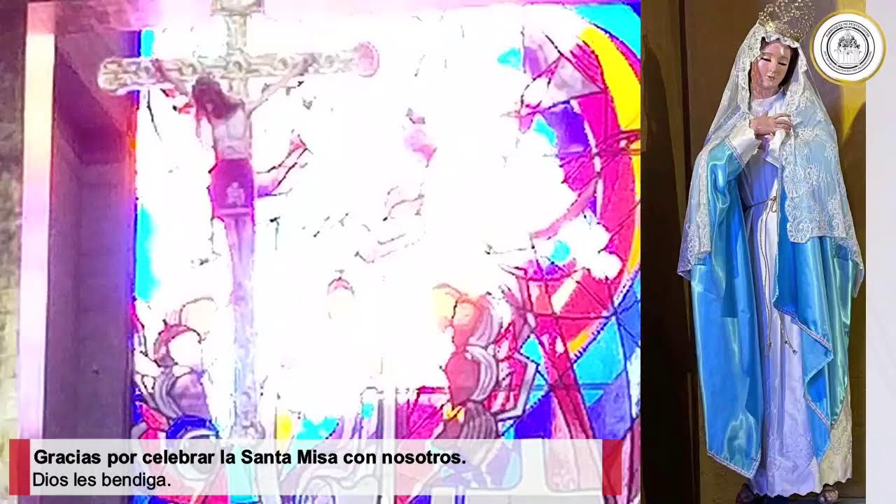 Santa Misa Lunes. Memoria, santos Timoteo y Tito, obispos.