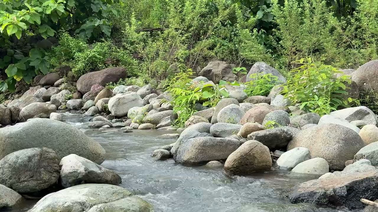Nature Sounds River Relaxation Meditation-Relaxing Calm River Water flow for Sleeping