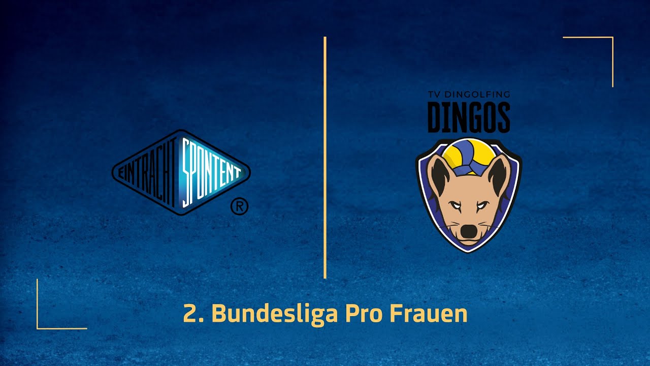 Eintracht Spontent Düsseldorf – TV Dingolfing (2. Volleyball Bundesliga Pro F 25/26)