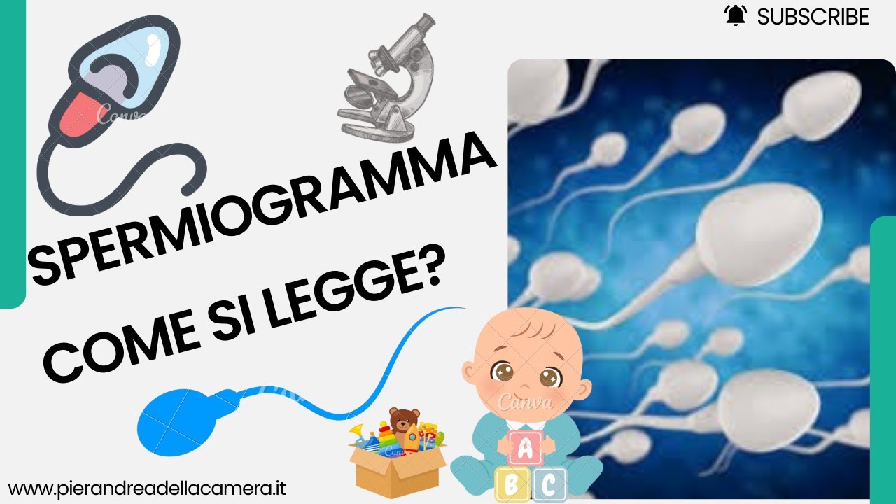 SPERMIOGRAMMA. COME SI LEGGE? QUALI SONO I VALORI NORMALI?