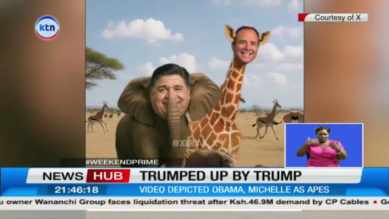 White House video depicting Obamas as apes causes storm