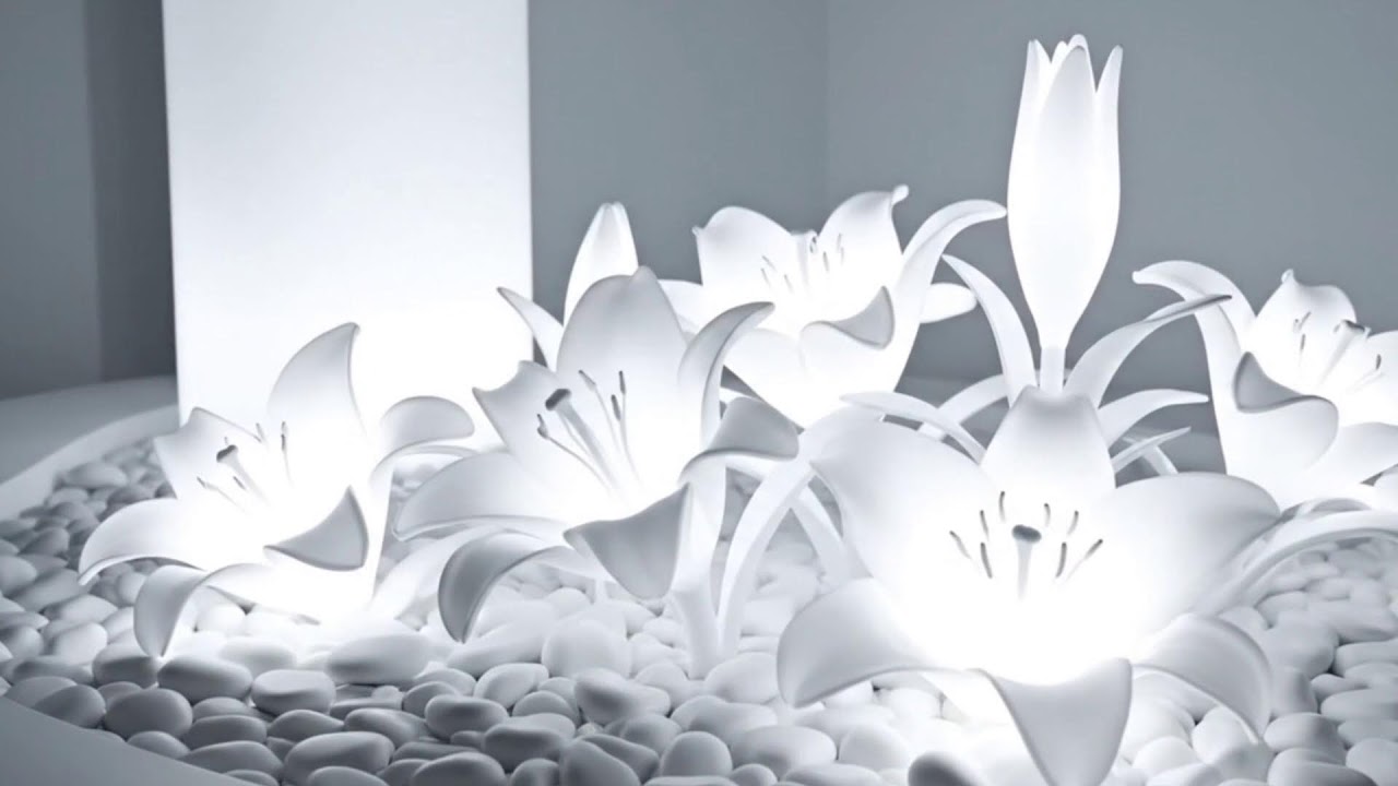 Luz Blanca Minimalista | Frecuencias Suaves para Calma y Armonía Interior