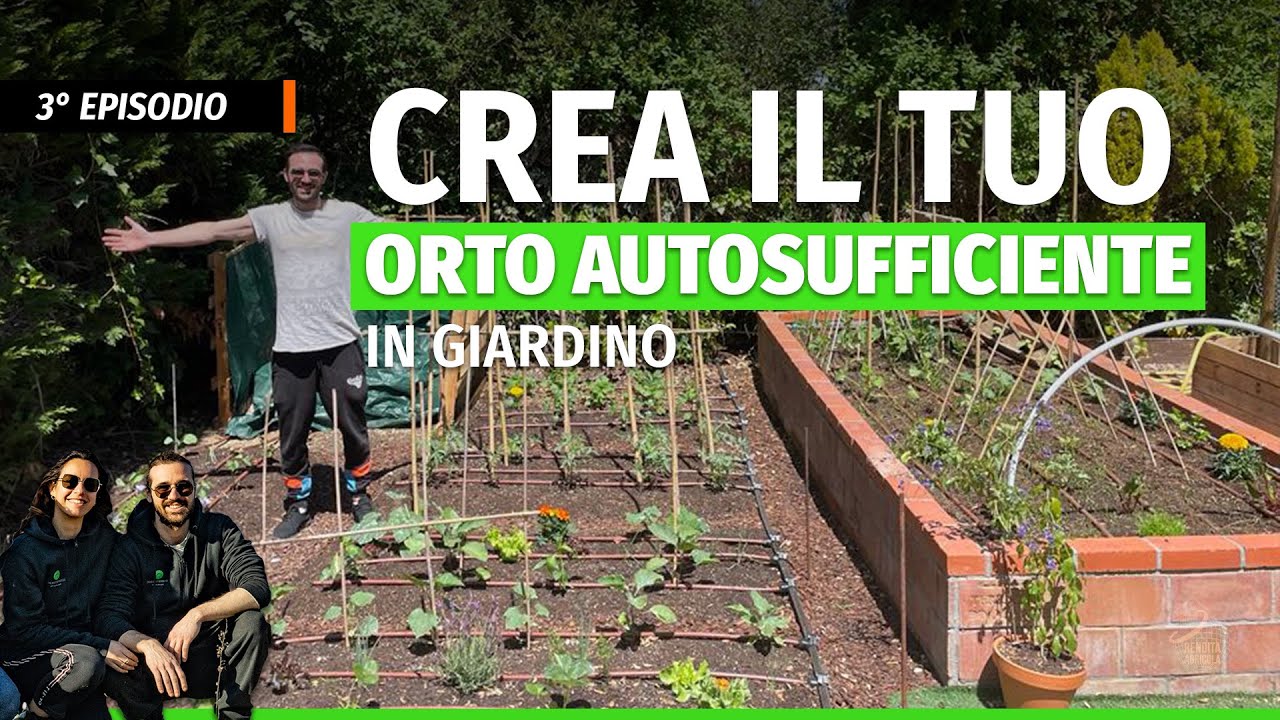Ecco l'unico modo corretto per creare un orto sostenibile | Crea il tuo Orto in casa