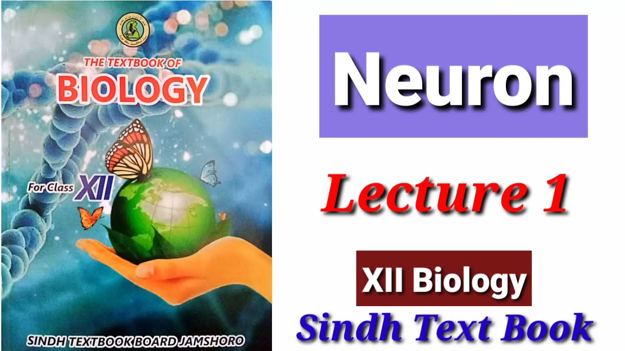 Structure of Neuron (Lecture 1)