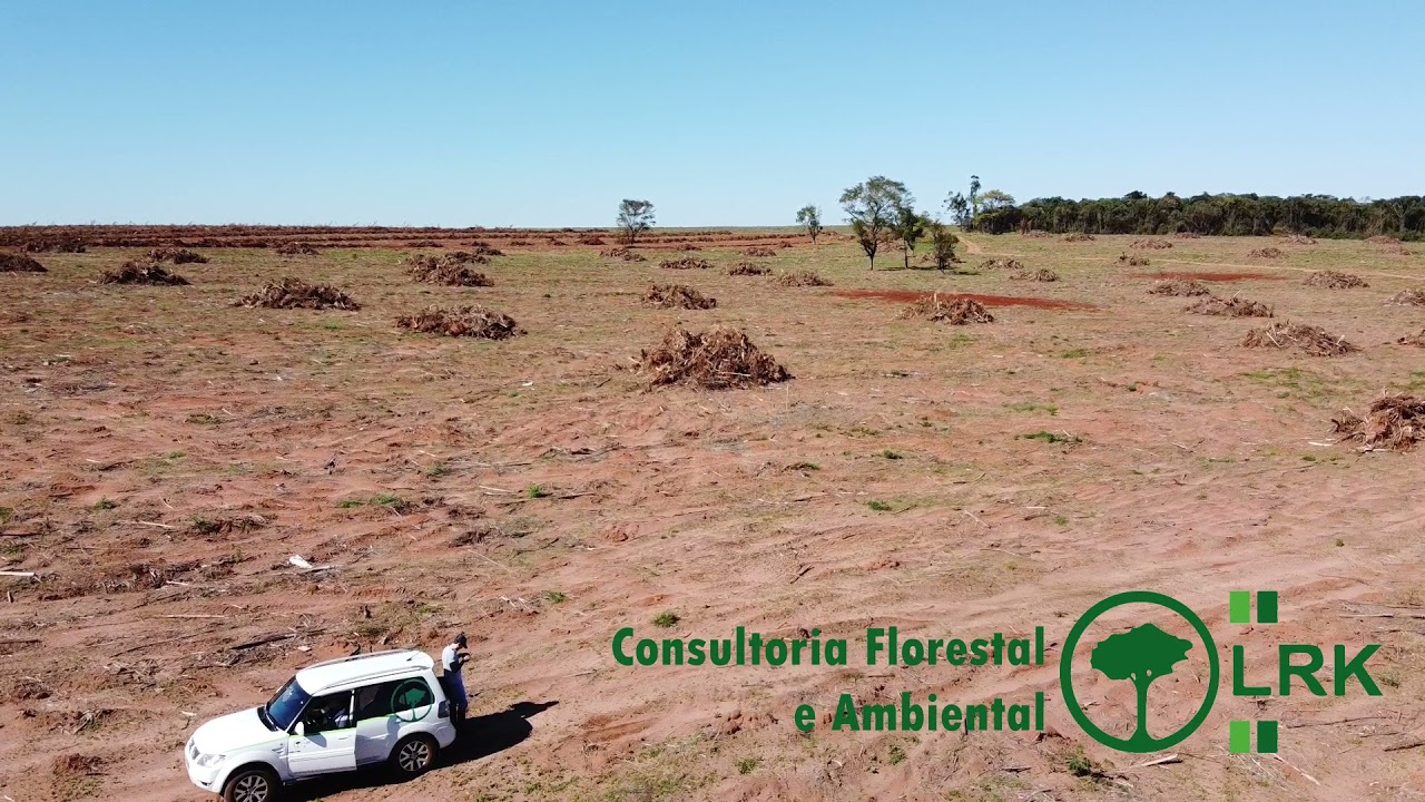 LRK Consultoria Florestal - Solu&ccedil;&otilde;es Ambientais