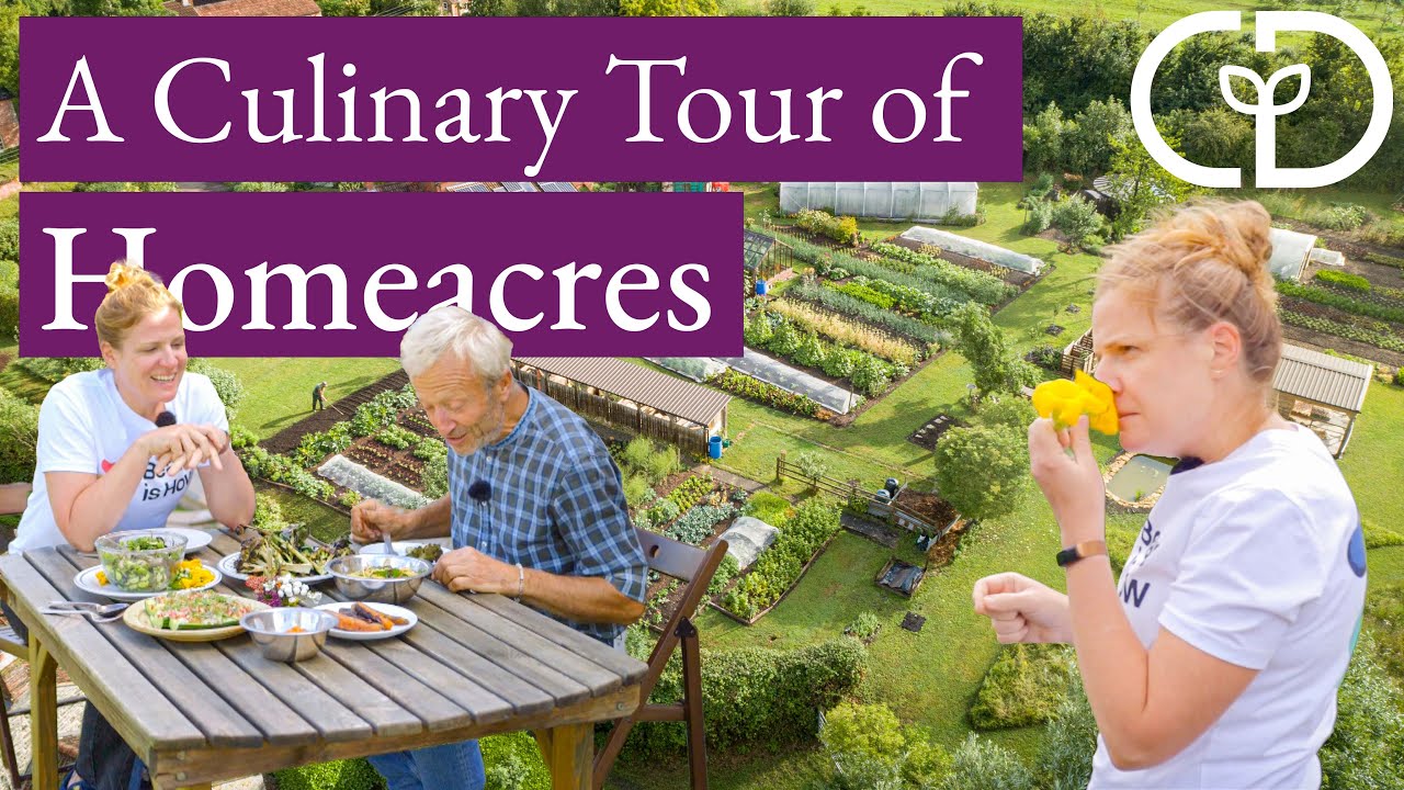 Creative picking and cooking with one of the UK’s most exciting chefs, Chantelle Nicholson